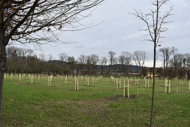 Zámecká zahrada, Holešov. Duben 2021.