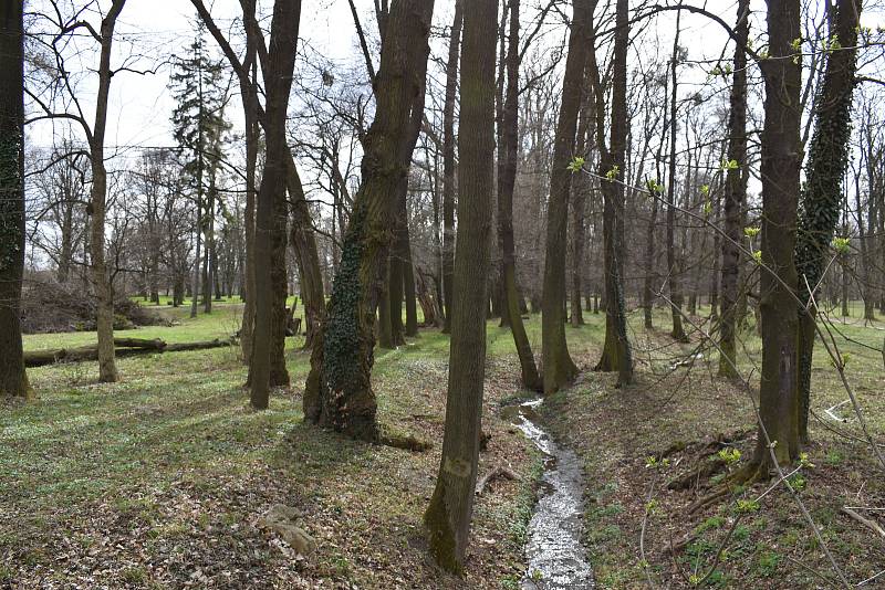 Zámecká zahrada, Holešov. Duben 2021.