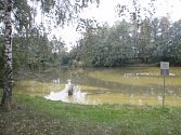 Profesionální hasiči museli v neděli 8. října v podvečer zasahovat u rybníka v Mrlínku: ve vodě se tam totiž objevila zatím neupřesněná chemická látka.