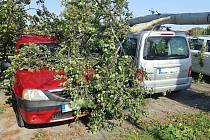 Na parkovišti u ulice Stoličkova v Kroměříži spadla větší větev stromu na dva zaparkované automobily. 5 října 2021