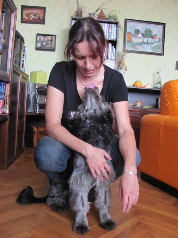 Pejsek Tony je jedním z šestnácti psů z Chvalčova, kteří zůstali na pospas svému osudu. S láskou a ochotou se ho ujala nová majitelka Lucie Blahová z Chropyně.