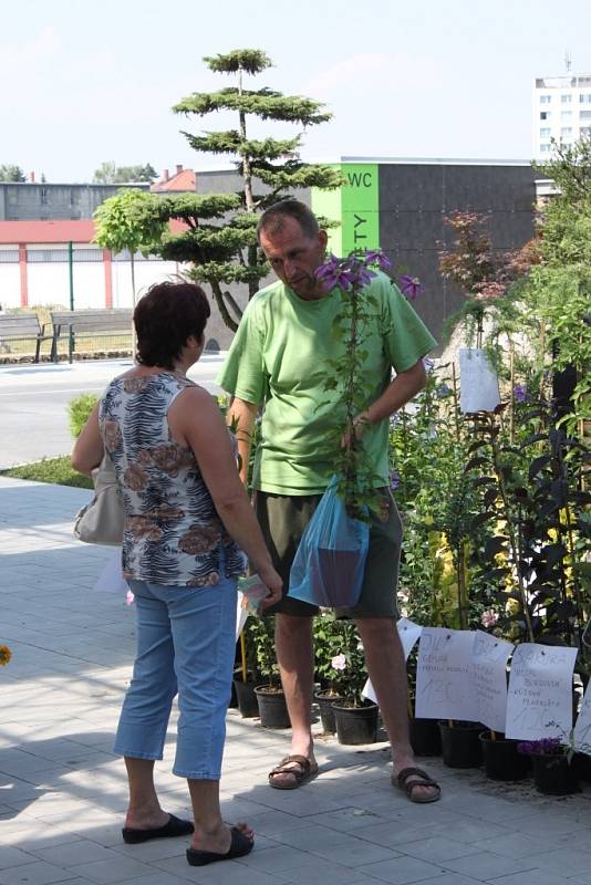 Na výstavišti Floria v Kroměříži mohou návštěvníci po celý týden obdivovat květiny, kaktusy i pomůcky pro všechny vášnivé zahrádkáře.