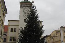 Vánoční strom už zdobí Velké náměstí v Kroměříži. Slavnostnímu rozsvěcení přihlíželo plné náměstí.  