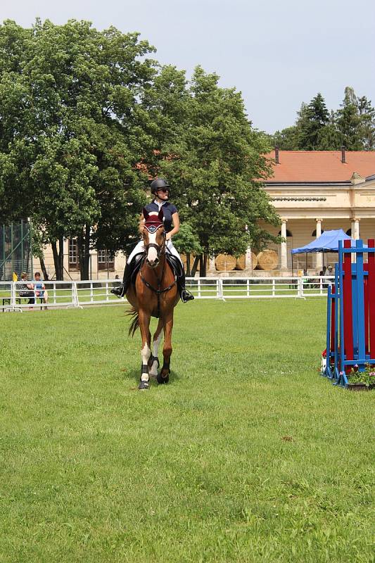 Jezdecké závody Pohár města Kroměříže 2019