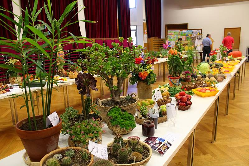 Výstava ovoce, zeleniny, včelích produktů a ostatních květin ve Zdounkách