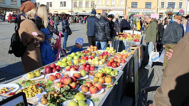 Jablečný den a farmářské trhy na Velkém náměstí v Kroměříži, 16. října 2021