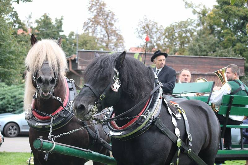 Kroměříž Mezinárodní soutěž tradičních zápřeží 2019