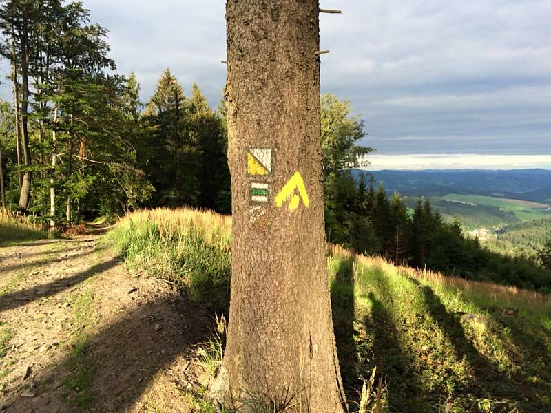 V sobotu 7. srpna se v Hostýnských vrších konal 9. ročník bikemaratonu Hostýnská padesátka