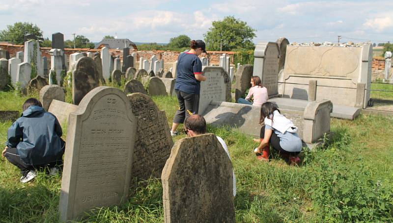 Skupinka dobrovolníků z několika zemí světa už pár dnů dává do pořádku židovský hřbitov v Holešově. Úklidové práce tam provádějí při příležitosti právě probíhajícího Týdne židovské kultury.