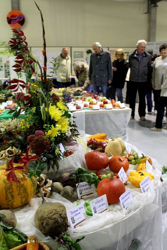 Prodejní výstava Floria Podzim v Kroměříži je letos spjata s expozicí bonsají.