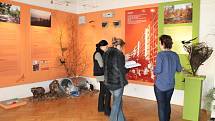 Do života běžných městských živočichů umožňuje nahlédnout nová výstava v muzeu Kroměřížska s názvem Ve městě to žije. Expozice je návštěvníkům přístupná od 13. března až do 8. června každý den kromě pondělí. Výstava představuje biotopy center měst