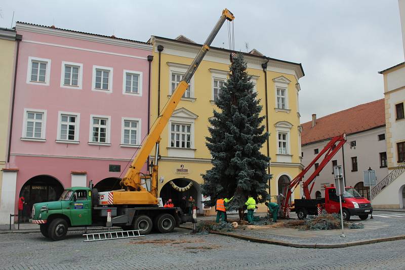 Strom na Velkém náměstí pro Vánoce 2019.