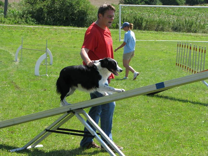 Kulaté výročí hasičů spojené s hody oslavili o víkendu 26. a 27. července 2008 ve Chvalnově-Lískách. Na programu byla například i ukázka agility - výcviku psů.