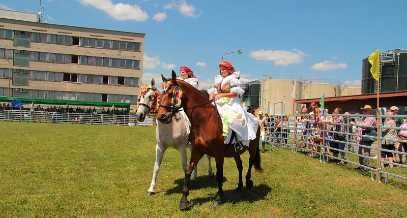 Zemědělská výstava v Kotojedech, rok 2022.