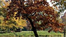 Podzim v Podzámecké zahradě v Kroměříži, říjen 2021