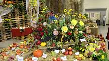 Program kroměřížské výstavy Floria Podzim 2017 je opět bohatý. Tamní výstaviště tak na celé čtyři dny zaplnily květiny, stromy, ovoce, zelenina a tentokrát také hospodářská zvířata.