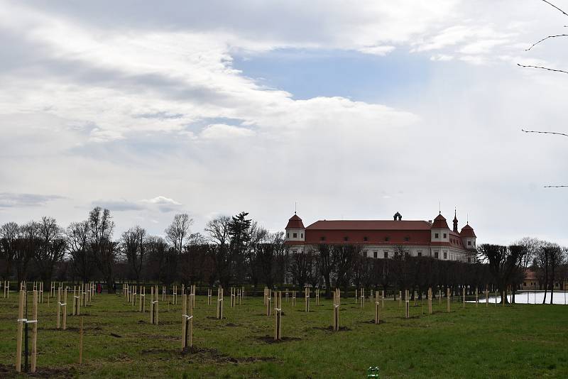 Zámecká zahrada, Holešov. Duben 2021.