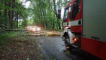 Hasiči na Kroměřížsku včera vyjížděli k popadaným stromům.