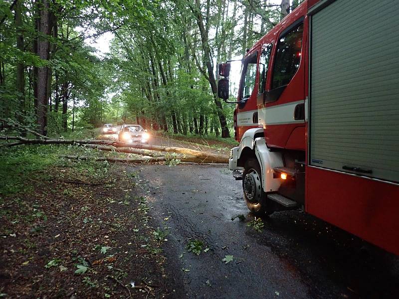 Hasiči na Kroměřížsku včera vyjížděli k popadaným stromům.