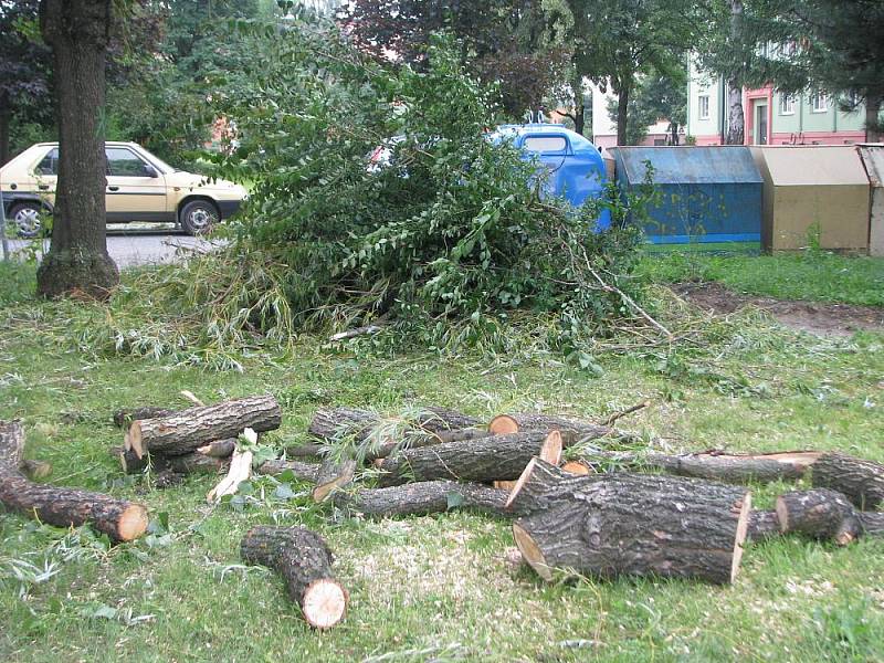 Obyvatele sídliště Sadová v Hulíně vyděsilo vykácení tamního parku, ze kterého během dvou týdnů zmizelo šestapadesát vzrostlých stromů. Podle starosty města Romana Hozy se však jedná pouze o rekultivaci. Na místě vznikne hřiště a několik parkovacích míst 