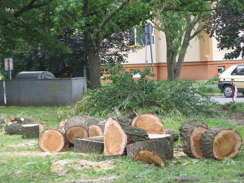 Obyvatele sídliště Sadová v Hulíně vyděsilo vykácení tamního parku, ze kterého během dvou týdnů zmizelo šestapadesát vzrostlých stromů. Podle starosty města Romana Hozy se však jedná pouze o rekultivaci. Na místě vznikne hřiště a několik parkovacích míst 