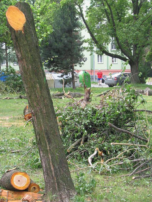 Obyvatele sídliště Sadová v Hulíně vyděsilo vykácení tamního parku, ze kterého během dvou týdnů zmizelo šestapadesát vzrostlých stromů. Podle starosty města Romana Hozy se však jedná pouze o rekultivaci. Na místě vznikne hřiště a několik parkovacích míst 