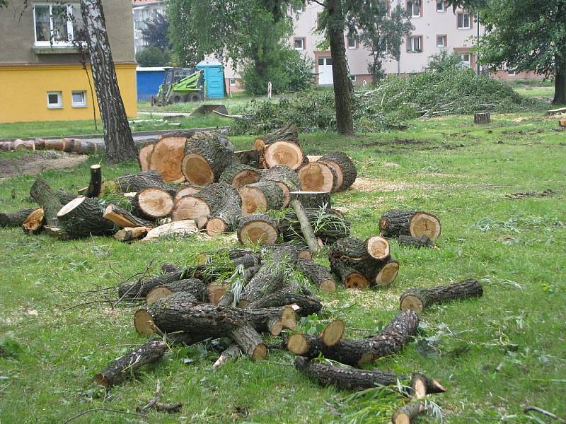 Obyvatele sídliště Sadová v Hulíně vyděsilo vykácení tamního parku, ze kterého během dvou týdnů zmizelo šestapadesát vzrostlých stromů. Podle starosty města Romana Hozy se však jedná pouze o rekultivaci. Na místě vznikne hřiště a několik parkovacích míst 