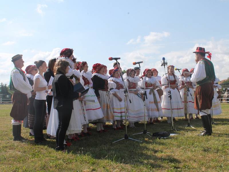 Do Kroměříže se v sobotu sjeli všichni milovníci přírody a zemědělství. Konala se tam totiž v areálu Navosu v Kotojedech už tradiční zemědělská výstava. Návštěvníci si prohlédli zvířata, zemědělské stroje i chovatelské potřeby.