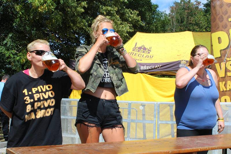 Od 9. do 11. srpna 2018 se v rekreačním areálu Kamínka v Roštíně konal další ročník Pivních slavností. Představila se řada kapel, ochutnat lidé mohli zhruba čtyřicítku druhů piv, nechyběly ani pivní soutěže.