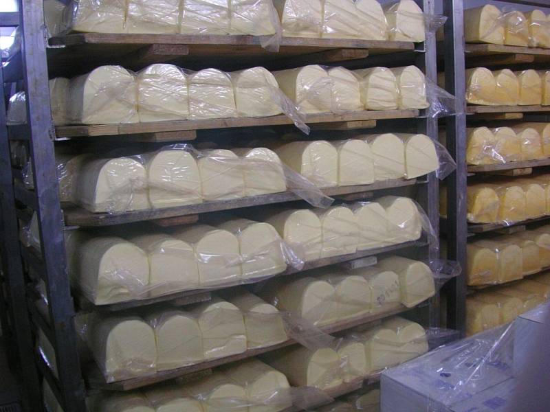 V kroměřížské mlékárně Kromilk vyrábějí sýry čerstvé, termizované smetanové, tavené a přírodní polotvrdé sýry typu Gouda.