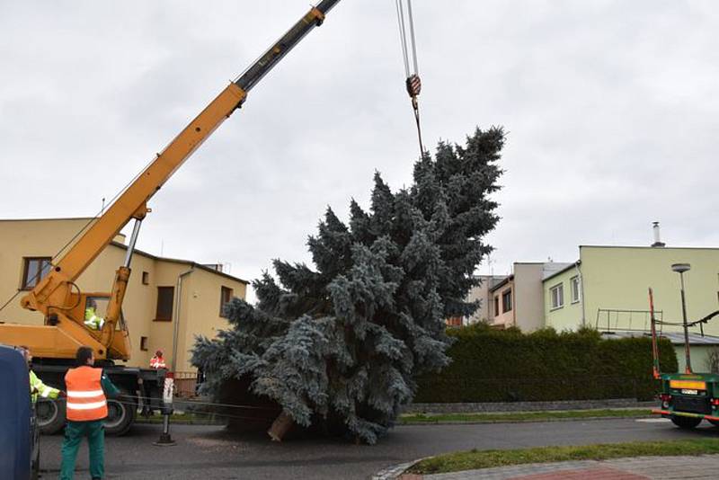 Převoz stromu na Velkém náměstí pro Vánoce 2019.