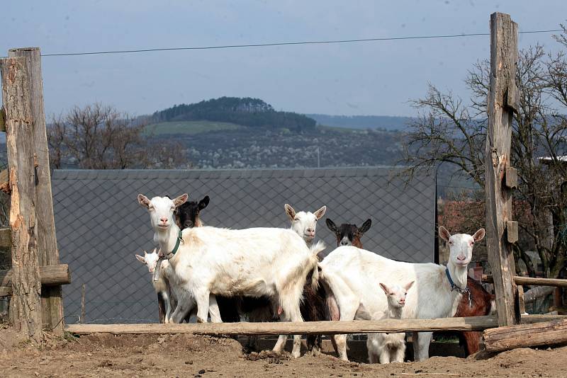 Farma v Cetechovicích.