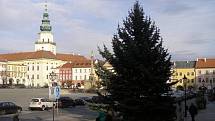 Na Velkém náměstí v Kroměříži vztyčili v pondělí 23. listopadu letošní vánoční strom: devět a půl metru vysoký smrk musel ale nejdřív absolvovat cestu ulicemi města.