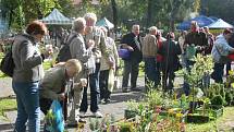 Zahrada Věžky podzim 2013