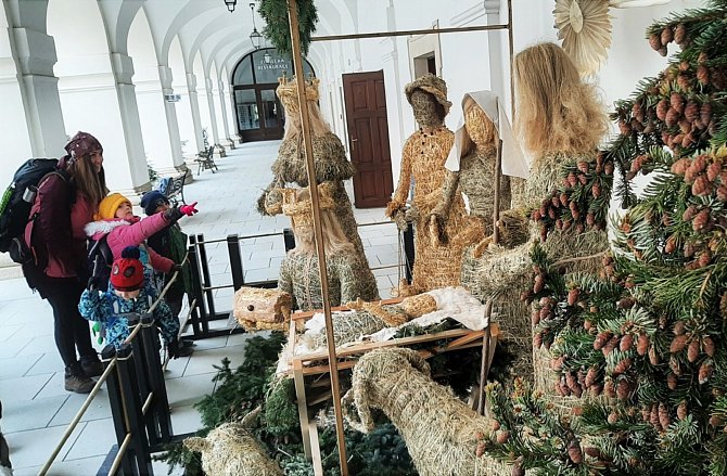Výstava Kouzlo přírodních Vánoc za skly zámeckých arkád v Holešově se prodlužuje do 14. ledna.