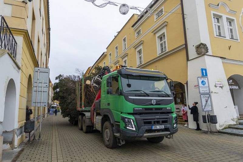 Kroměřížské Velké náměstí už zdobí vánoční strom. Jde o 25 let starý smrk pichlavý z Braunerovy ulice v Dolních zahradách.
