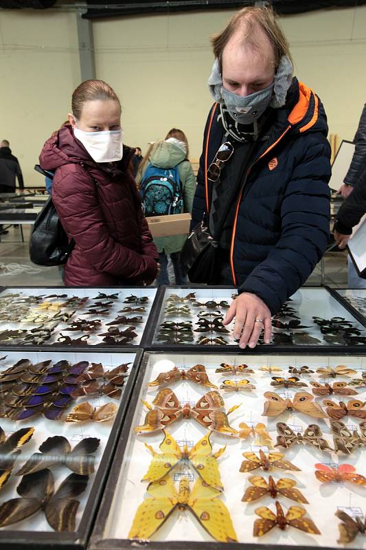 Prodejní výstava brouků a motýlů na Výstavišti v Kroměříži