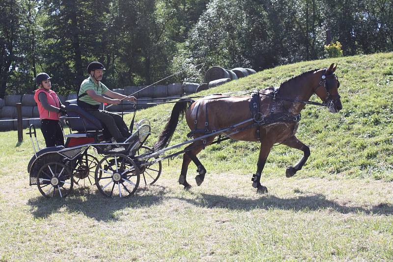 Mistrovství České republiky koňských spřežení, Grunt Galatík, 20. - 22. června 2019.