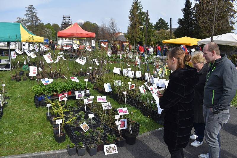 Jarní výstava Zahrada Věžky 27. dubna 2022.