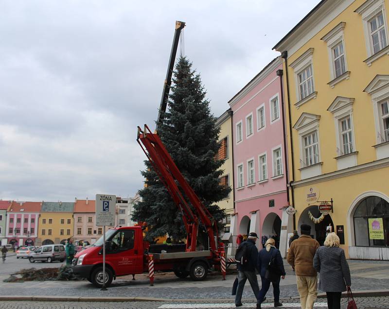 Strom na Velkém náměstí pro Vánoce 2019.