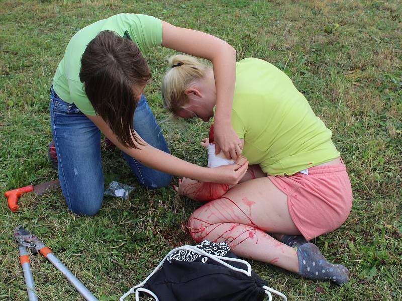 Studenti Tauferovy střední odborné školy veterinární si předposlední den školy vyzkoušeli, jak by obstáli při poskytování první pomoci raněnému.