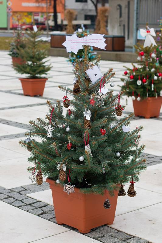 Hulínské náměstí zdobí velký vánoční strom a 26 malých stromečků.