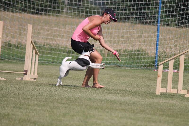 V Záhlinicích pořádali tradiční sobotní odpoledne pro děti a rodinu. Proběhlo psí agility či se děti mohly povozit například v kamionu.