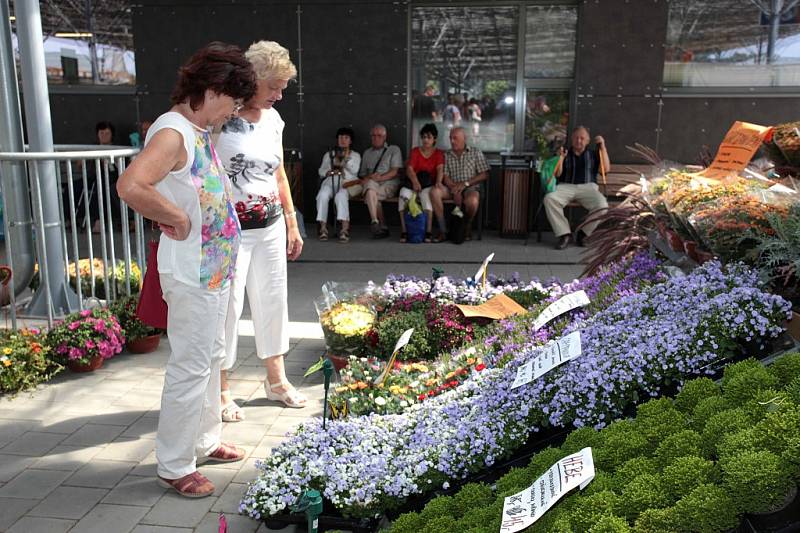 Výstava Léto 2015 na výstavišti Floria v Kroměříži.