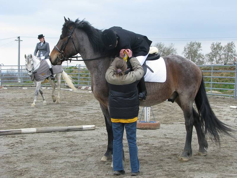 Na Ranči v Kostelanech se 12. 4. 2008 uskutečnily závody v drrezúře a parkurovém skákání.