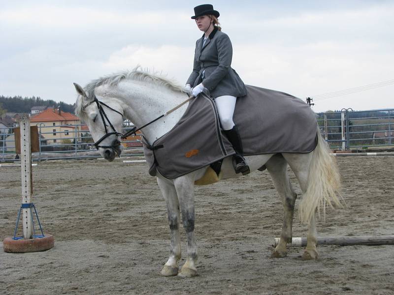 Na Ranči v Kostelanech se 12. 4. 2008 uskutečnily závody v drrezúře a parkurovém skákání.