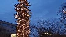 Vánoční strom 2020 ve Vsetíně - dolní náměstí