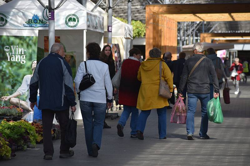 Podzimní výstava Floria Bonsaj na Výstavišti Kroměříž. 23. září 2022.