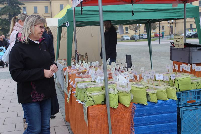 KROMĚŘÍŽSKÉ FARMÁŘSKÉ TRHY SI BUDUJÍ TRADICI. Nabídka stánkařů, ale i zajímavý doprovodný program přilákalo v sobotu na Hanácké náměstí v Kroměříži mnoho návštěvníků, především pak rodiny s dětmi.