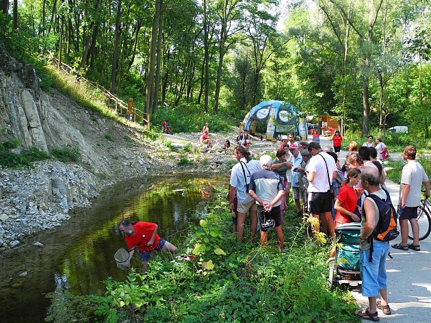 Přes tři sta návštěvníků si našlo cestu do lomu v Kurovicích na akci nazvanou Festival pro čolka. Ilustrační foto